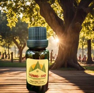 tinh dầu Tràm Gió tùng hạ, 白千层精油., Cajeput Essential Oil>