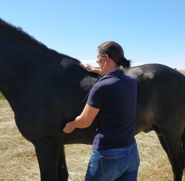 dominique de clercq in actie