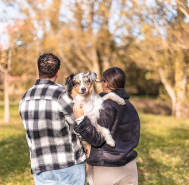 séance couple avec leur chien, un berger australien, qu'ils tiennent dans leur bras