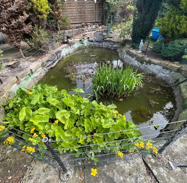 pond makeover, pond liner change, garden pond makeover, pond repairs