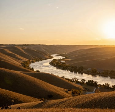 Close-up of a hand holding a cold, condensation-covered can of W1sh Energy Drink Adventure flavor against a sunny urban backdrop.