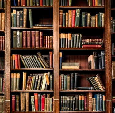Books at a nice bookshelf at a library