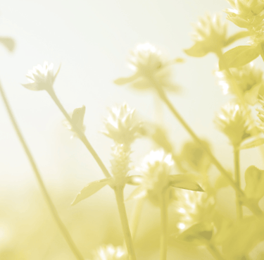 expert hands on acupuncture for cancer treatment side effects