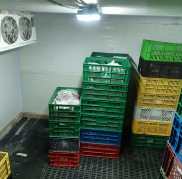 alquiler cuartos fríos y túneles de congelación