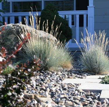 a house with a rock garden and a stone path