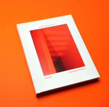 Liminal 1 / Selected Works 1 (édition)