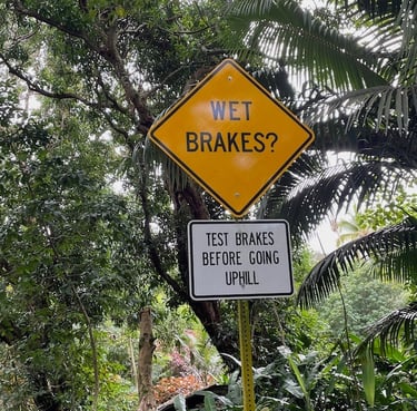 Waip'o Valley Big Island of Hawai'i