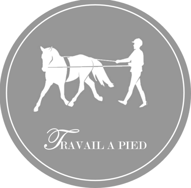 Travail à pied
