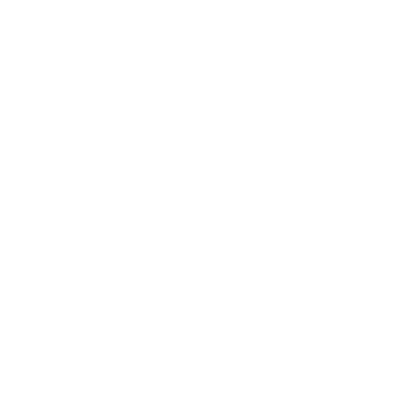a person in a scuba suit is diving