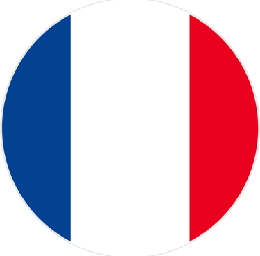 Icone représentant le drapeau de la France