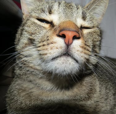 Descubre velas inspiradas en anime y videojuegos, hechas artesanalmente. Diseños geek únicos para de