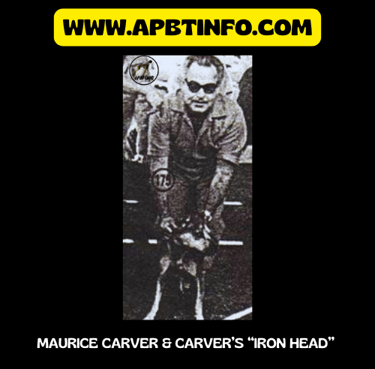 Maurice carver and carver ironhead apbt history
