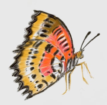 a digital butterfly