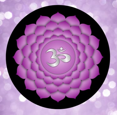Image red chakra, base chakra, root chakra, yellow chakra, orange chakra, heart chakra, throat chakr