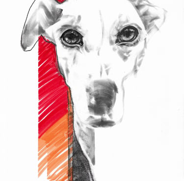 Black and white charcoal sketch of a greyhound dog face with a vibrant red and orange graphic background.