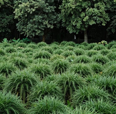 Photo of a sleek, modern staircase with warm wood tones and soft lighting.