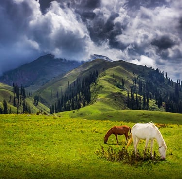 2 Days Shogran Valley Tour