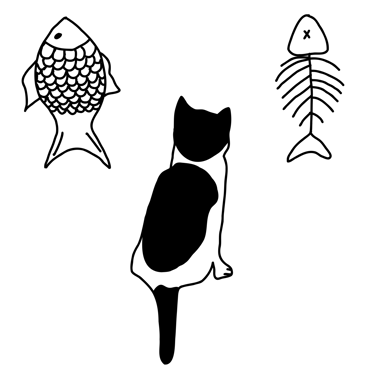 cat looking at UI and UX designs of fish