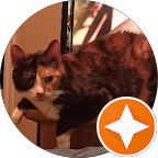 Fort Worth Pressure washing client who has a profile pic of an orange tabby kitty 