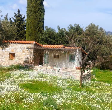vakantiehuisje Samos