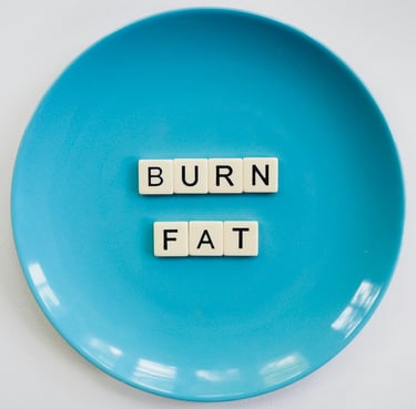 fat burning diet, meal plan pdf, weight loss meal plan online