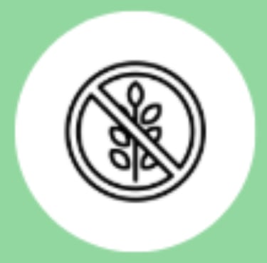 food intolerances diet plan