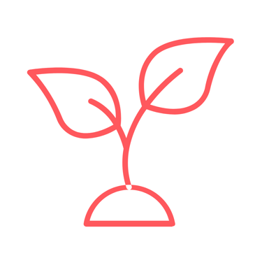 line drawing of a plant with leaves