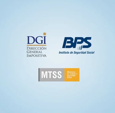 Asesoramiento remoto para la apertur de empresas desde Colonia del Sacramento para todo Uruguay.