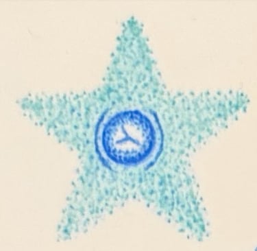 Post mastectomy tattoo: Blue star shaped areola and nipple tattoo