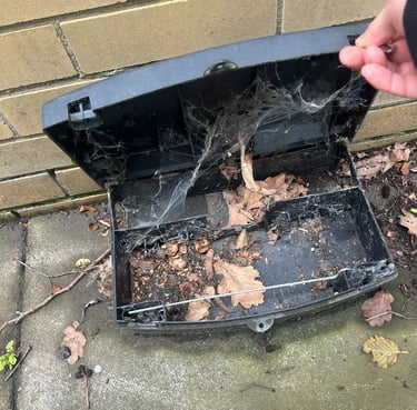 Rat bait station with cobwebs and leaves