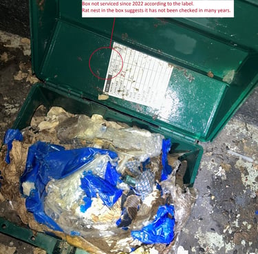 rat nesting in a rat bait station