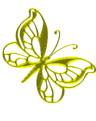 papillor voyage france guadeloupe