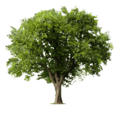 Descubre más sobre nuestro compromiso social.