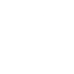 logo livraison fleur ergué quimper