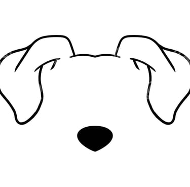 toiletteur chien bayonne