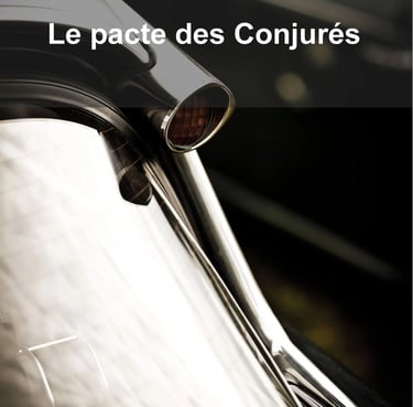 O. Voisin, auteur - Avis client sur les services de correction de Véronique Ribera