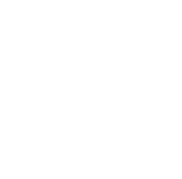 logo Nolwenn Magnétiseuse