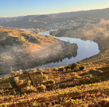 Douro Valley