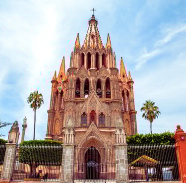 Técnica Alexander San Miguel de Allende
