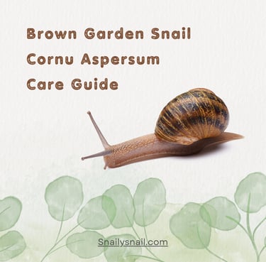 Garden snail pet care guide book hand book how to care snail