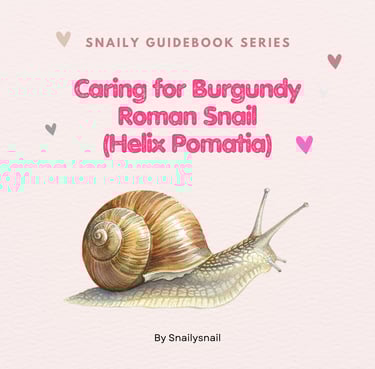 CARE BOOK FOR ROMAN SNAIL HELIX POMATIA