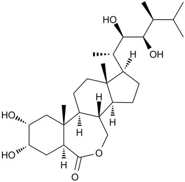 síntesis brasinoesteroide producción brasinoesteroides comercialización venta brasinoesteroides