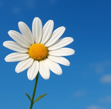 woman wearing black crew-neck shirt