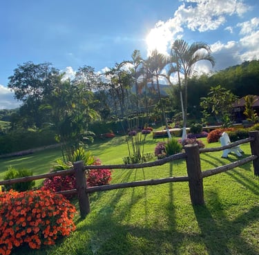 Zonas verdes para estar en tranquilidad en un hotel, lleno de flores y colores