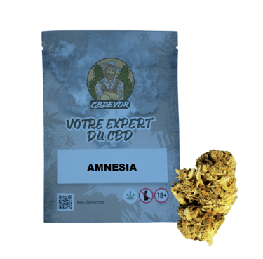 Un sachet avec une fleur (AMNÉSIA)