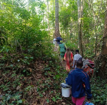 Randonnée et marche en forêt. Immersion pratique dans l'environnement naturel