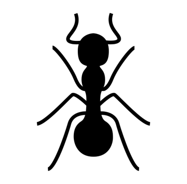 Elimimation des nids de fourmis a Nice et alpes maritimes