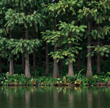 A satisfied customer shaking hands with a Vanishguard pest control technician in front of a tidy apartment building.