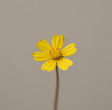 sagoma donna