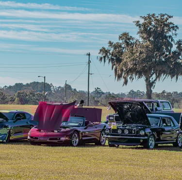 Outdoor car show with multiple colorful vehicles parked in a grassy field, hoods open for display, u